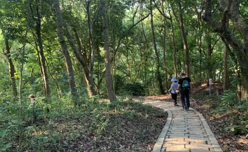 南部新手爬山步道 南部新手爬山步道