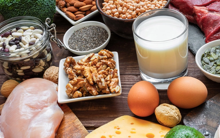 植物蛋白質來源