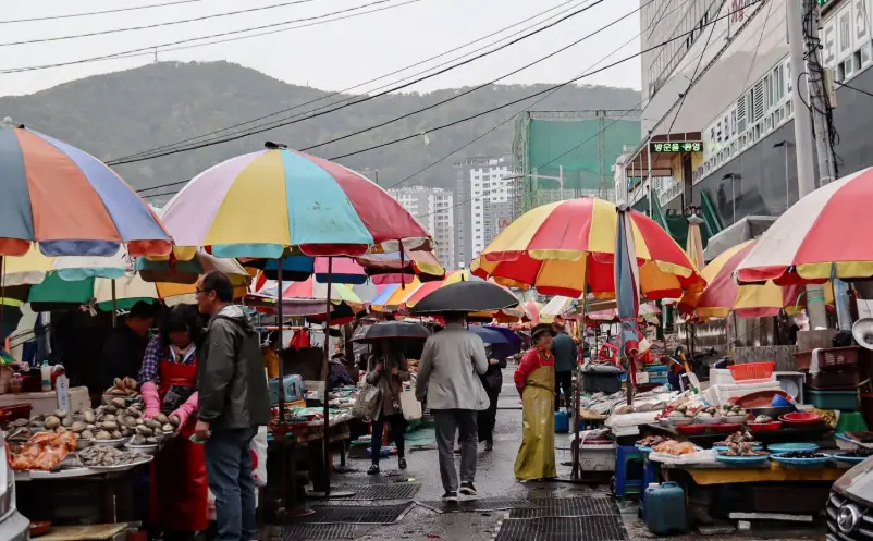 釜山冬天行程 釜山冬天行程