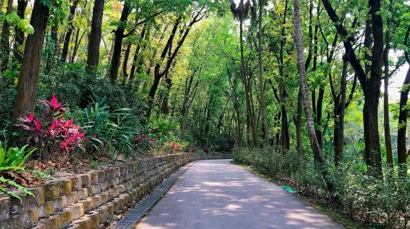 高雄爬山入門 高雄爬山入門