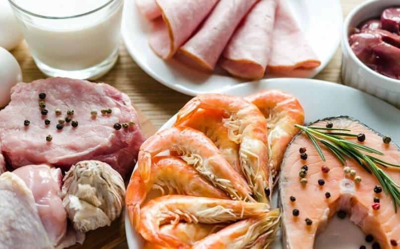 腎臟病飲食蛋白質