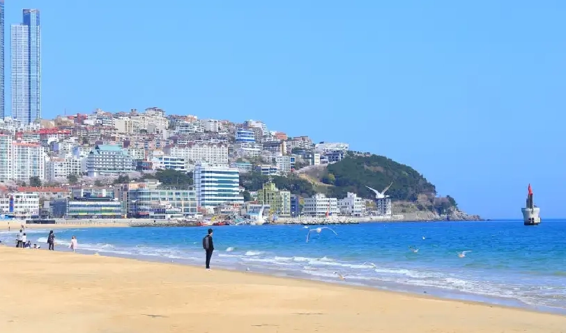 釜山冬天行程 釜山冬天行程