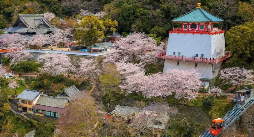 和歌山景點 和歌山景點
