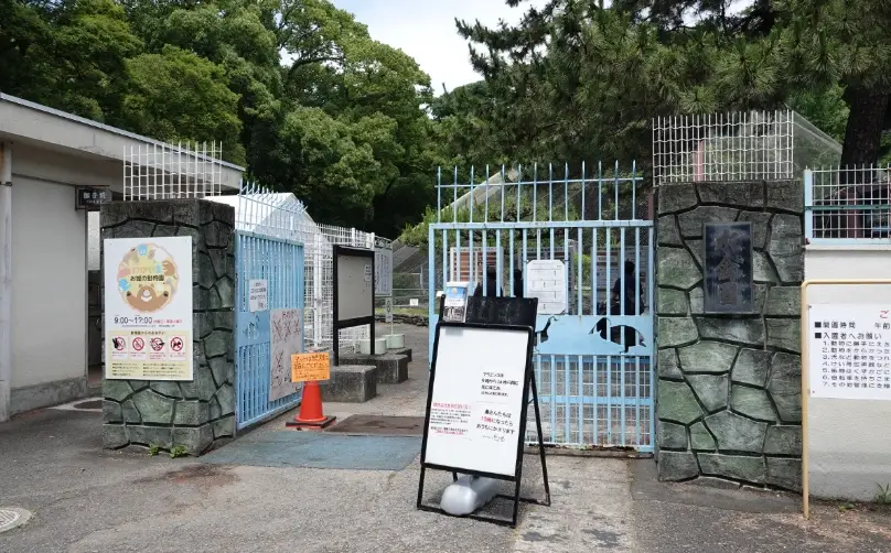 和歌山動物園全攻略：交通、必看動物與一日遊路線規劃