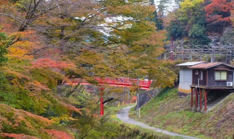 關西自由行必備！和歌山一日遊路線全攻略：景點、美食、交通一次搞定