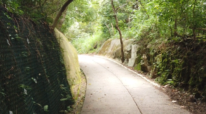 薄扶林水塘行山路線全攻略：新手親測，輕鬆走進港島百年水塘秘境