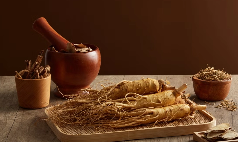 人蔘不能跟什麼一起吃？避免食物相剋的完整指南