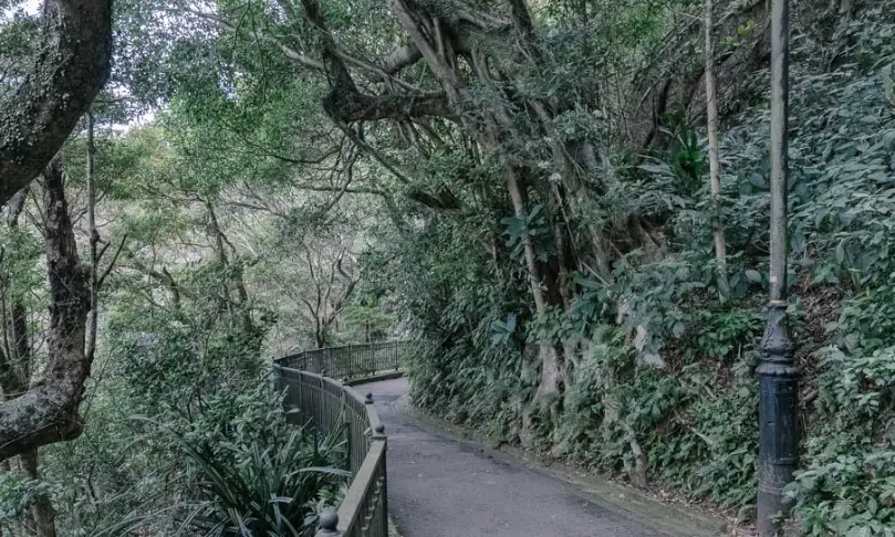香港大學行山攻略：校園後花園的私房路線與無敵海景
