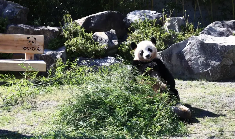 和歌山動物園 門票