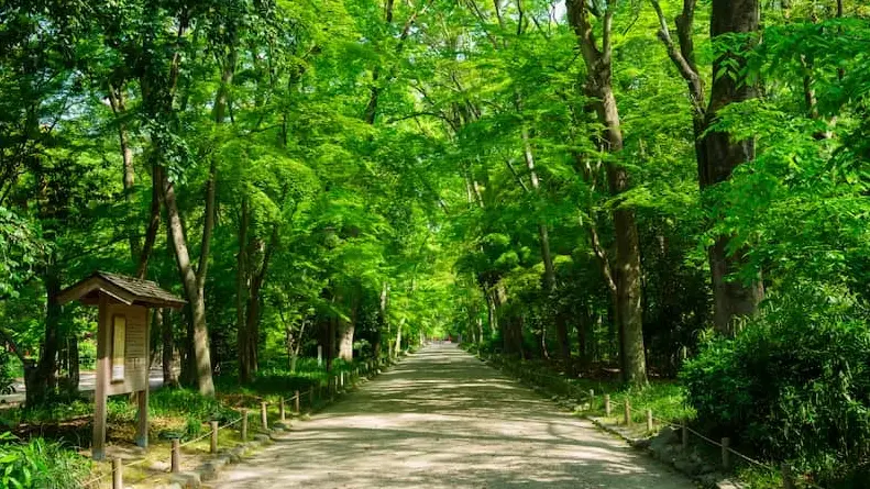 京都散步路線