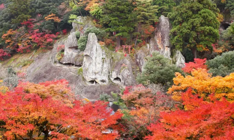 日本楓葉景點