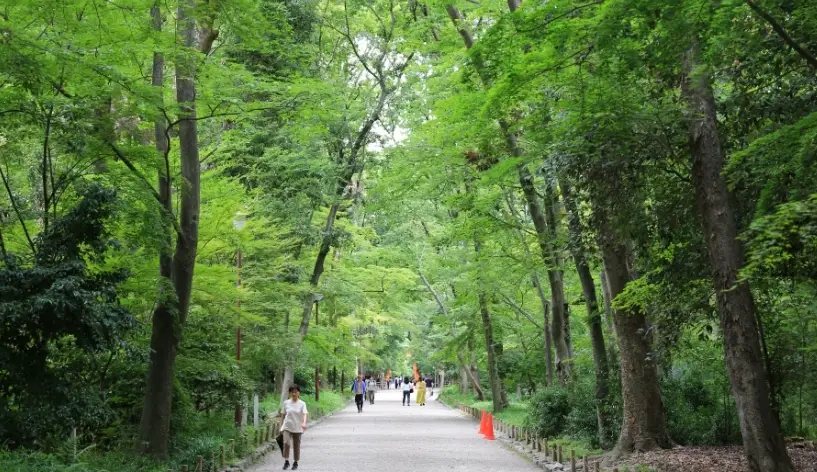 京都深度旅遊