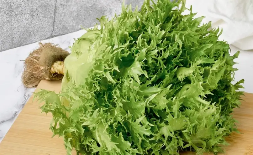 沙拉食譜