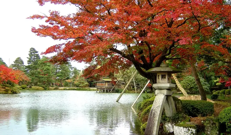 日本楓葉景點