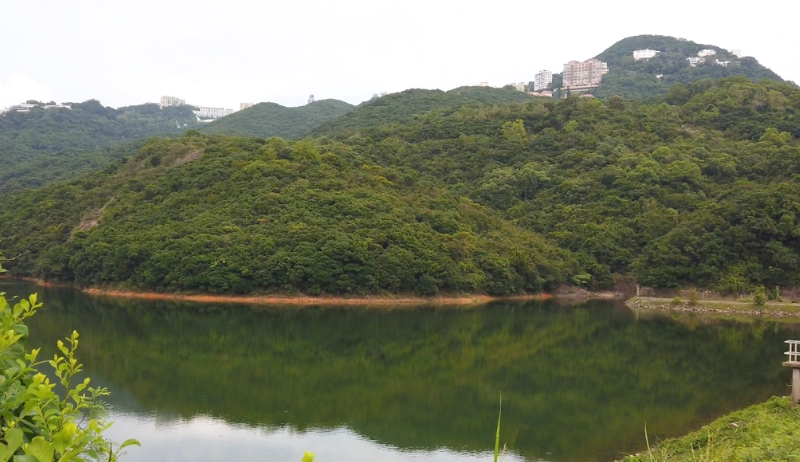 薄扶林水塘道行山攻略：輕鬆路線、歷史水塘與市區祕境指南