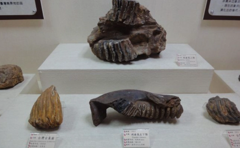 左鎮化石園區