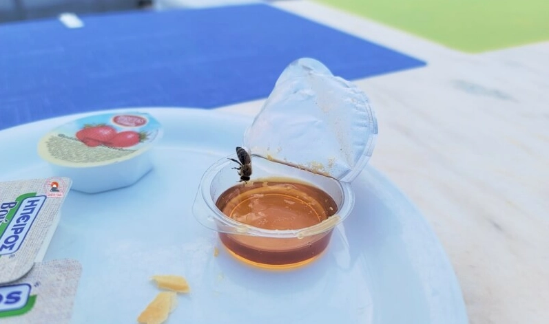 希臘蜂蜜品牌