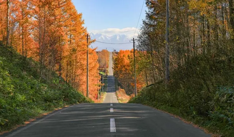 北海道自駕