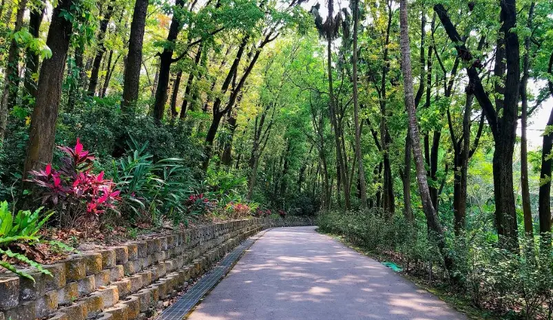 台南龍貓隧道