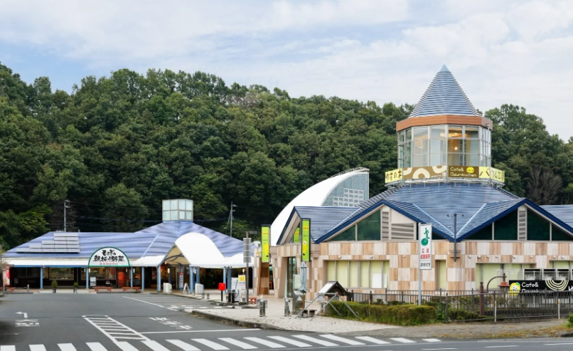 北海道開車注意事項