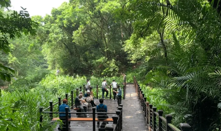 台南森林系景點