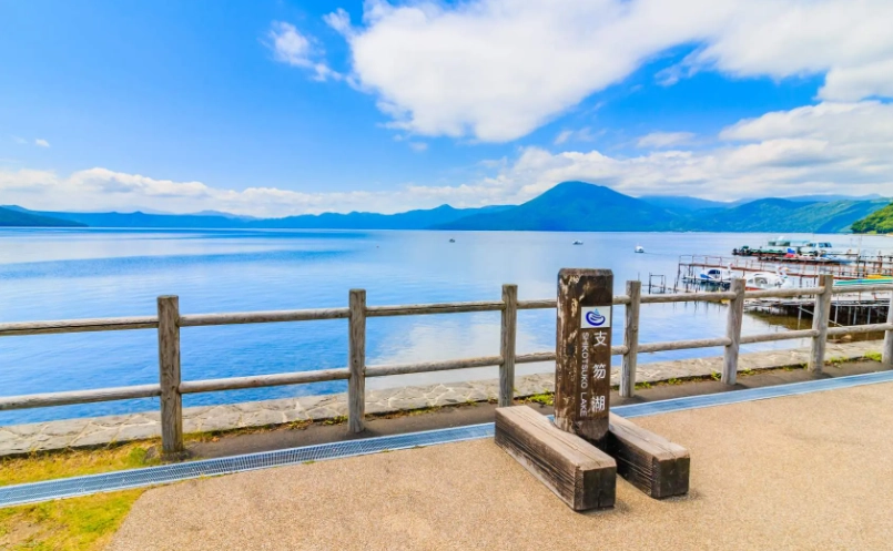 北海道開車注意事項