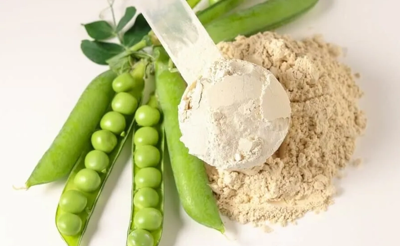 植物蛋白粉副作用有哪些？5大常見不良反應與專家建議