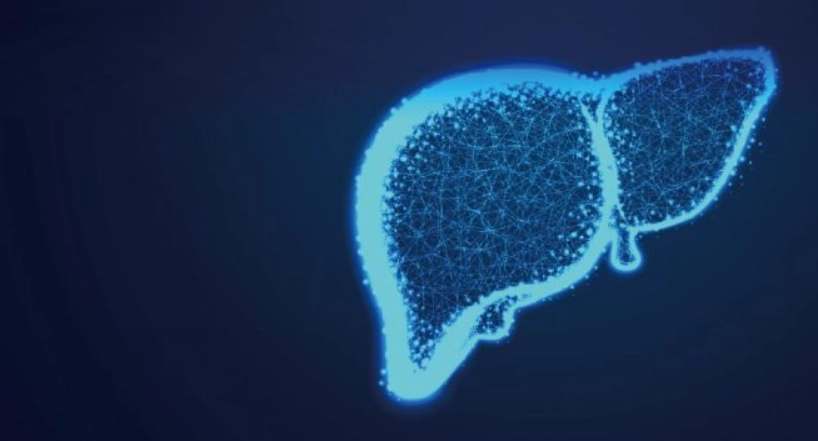 脂肪肝炎 脂肪肝炎