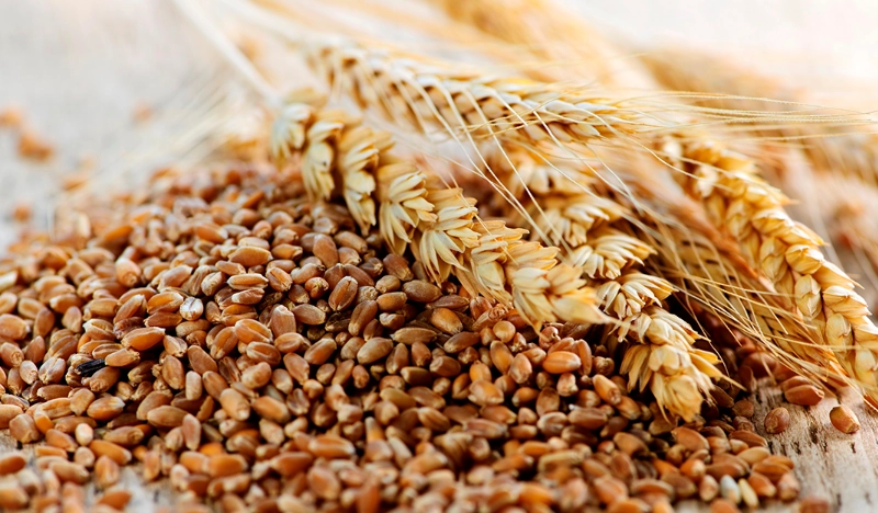 麥米功效 麥米功效