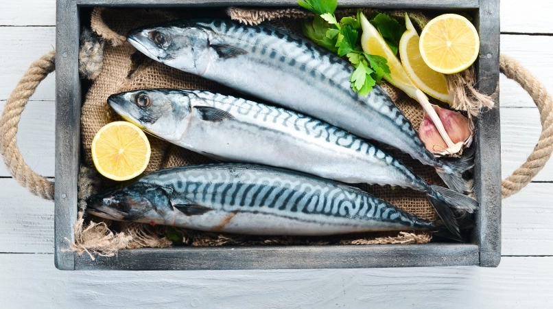 鯖魚禁忌全解析：避免過敏與中毒的關鍵指南