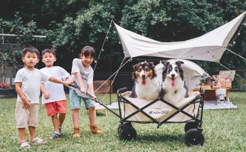 彰化寵物友善露營全攻略：營區推薦與行前準備