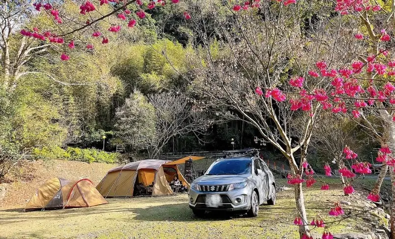 桃園露營免裝備 桃園露營免裝備