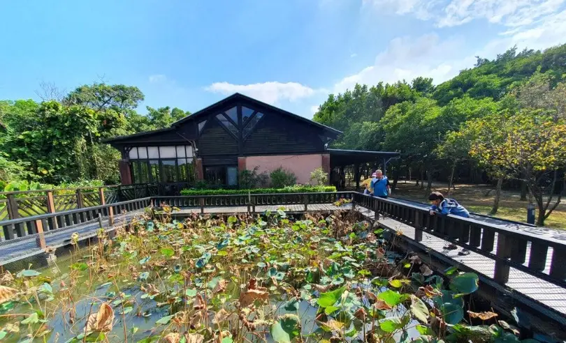 大溪老街 大溪老街