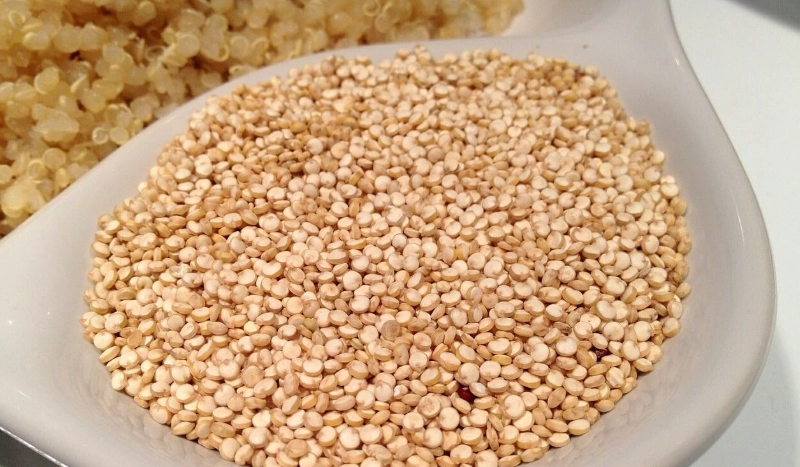 白藜麥副作用 白藜麥副作用