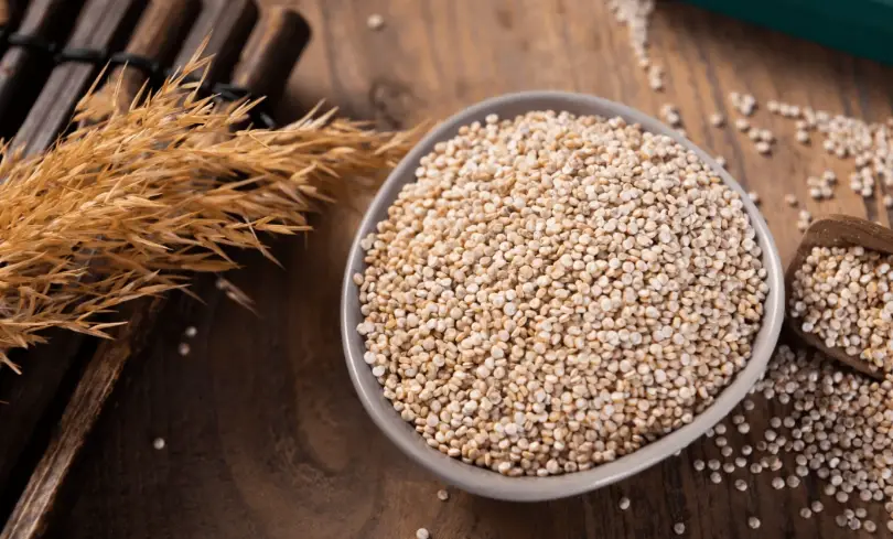 白藜麥食物 白藜麥食物