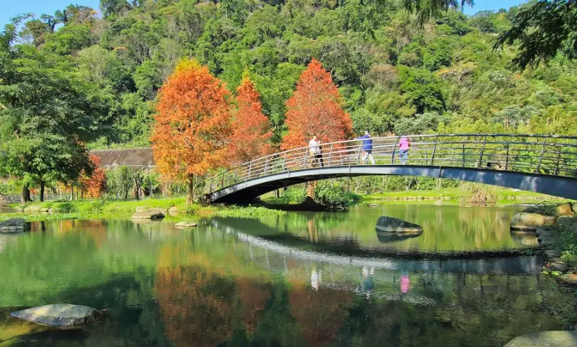 內灣烤肉 內灣烤肉