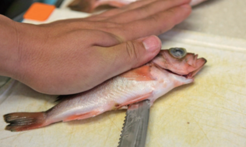 魚湯料理 魚湯料理