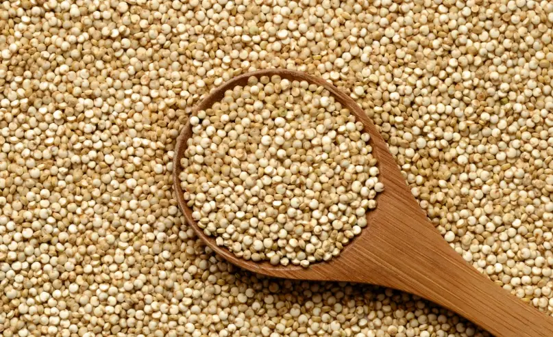 白藜麥副作用 白藜麥副作用