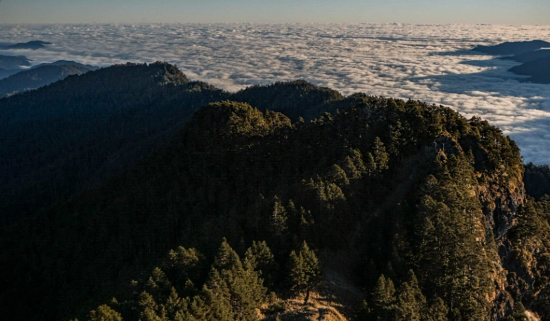 新手登山路線
