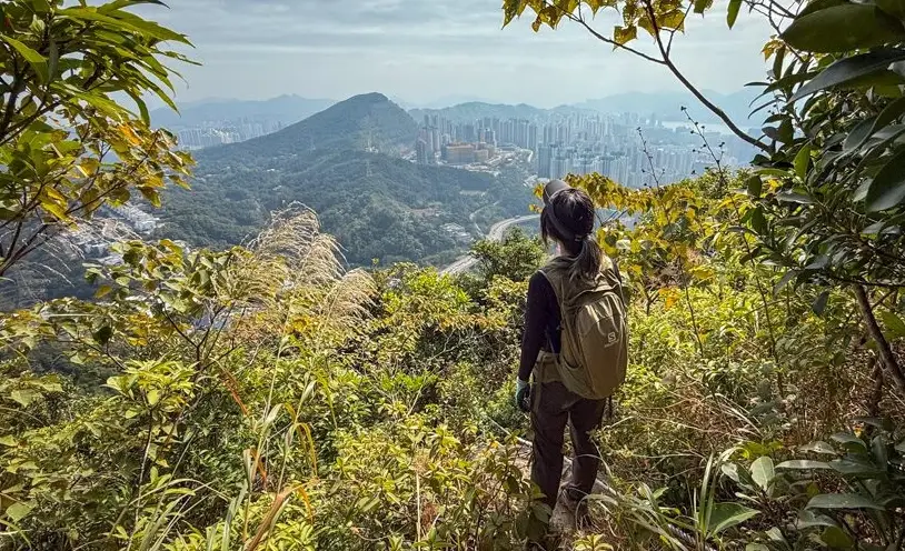 新手登山路線