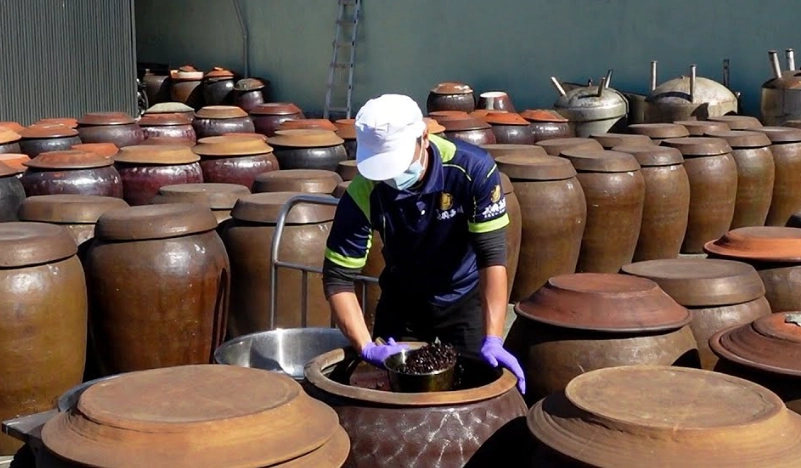 黑豆醬油比例 黑豆醬油比例
