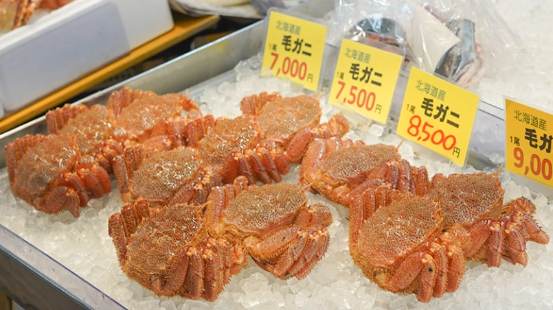 函館朝市帝王蟹推薦全攻略：挑選心法、必吃店家與省錢秘訣