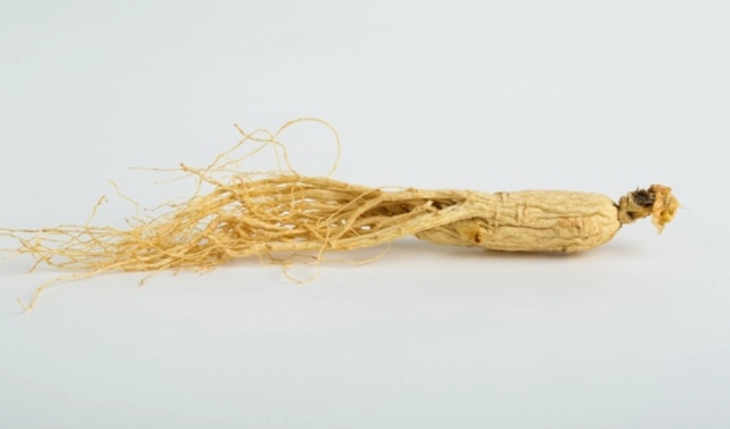 粉光蔘怎麼吃
