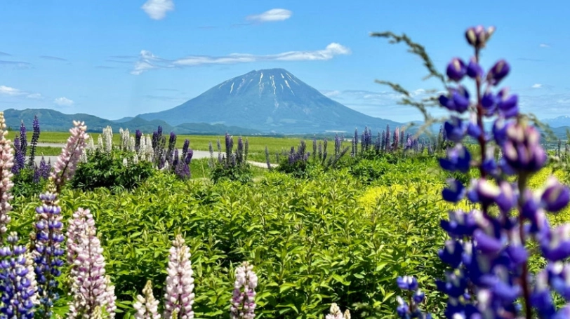 北海道旅遊攻略
