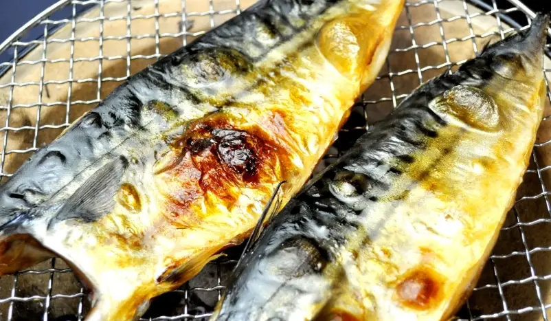 伊根舟屋特產 伊根舟屋特產