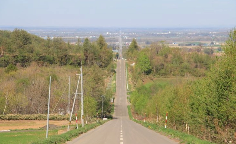 北海道自由行全攻略：從行前準備到行程規劃的親身經驗分享