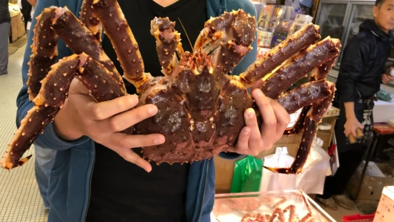 北海道帝王蟹