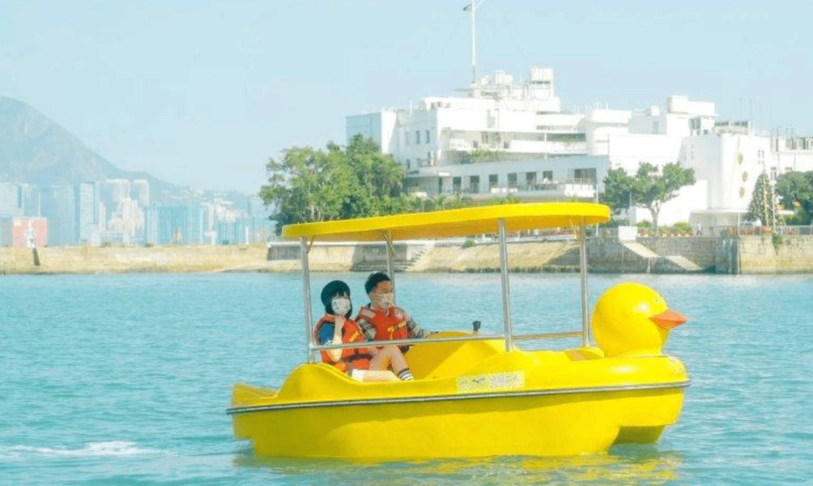 港島親子遊全攻略：三大必去景點與私房行程規劃
