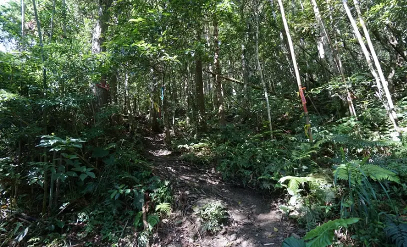 登山單攻挑戰