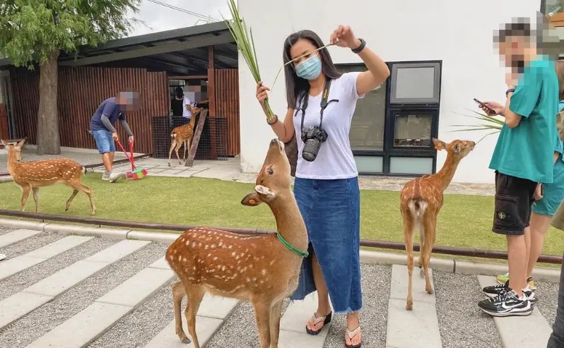 宜蘭民宿包棟推薦